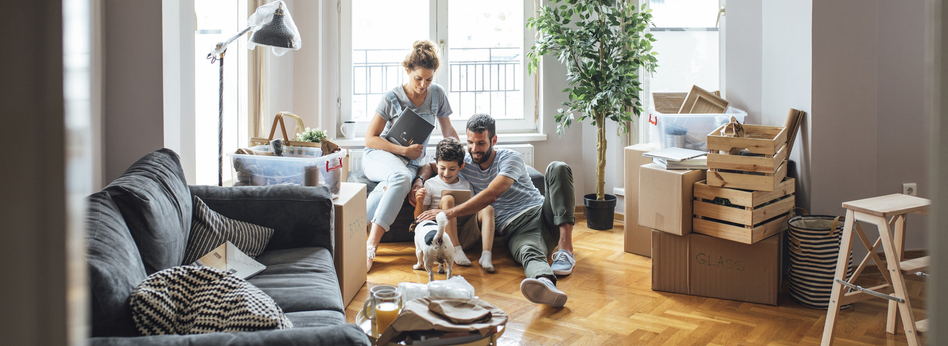 MINARY SERVICES à Granges-Narboz, membre du réseau expert Vachette